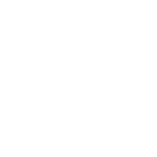 SDK/API